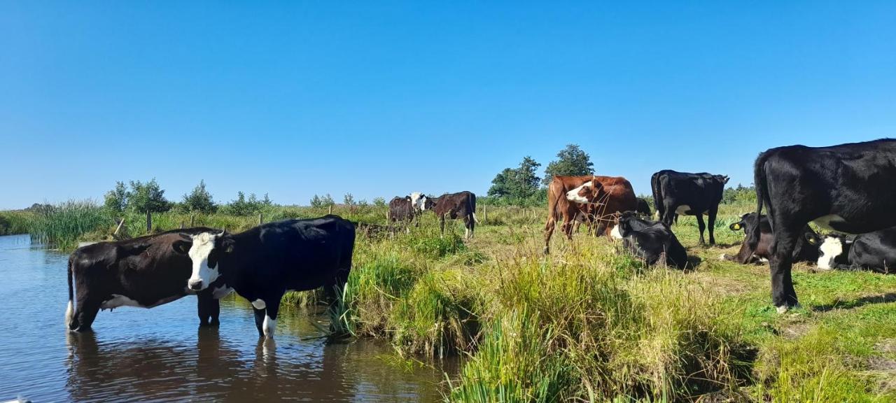 Vila Huisje Beukers Giethoorn Exteriér fotografie